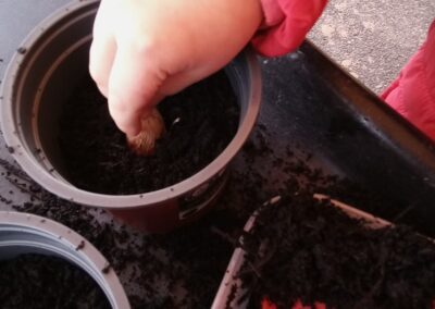 Planting seeds