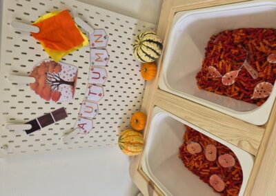 Sensory Tray